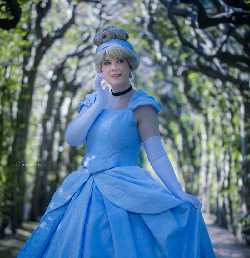 Prinses Assepoester inhuren - Karakters - Een Magisch Moment